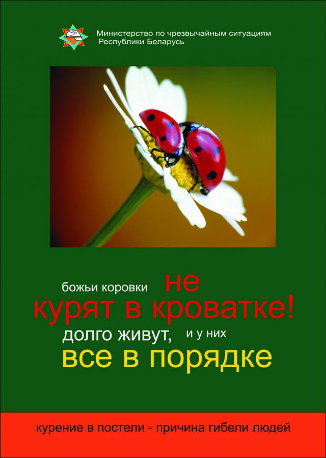 bozhi korovki kurenie