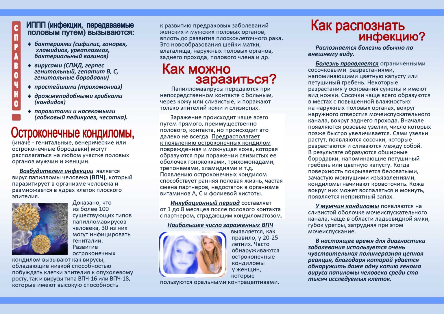 Kondil 1 1536x1086