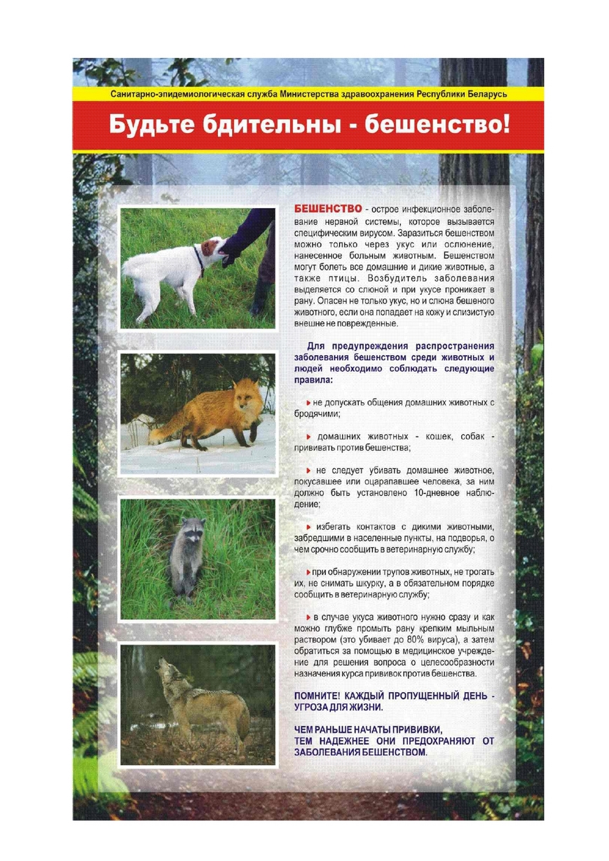 Памятка по бешенству 2 page 0001