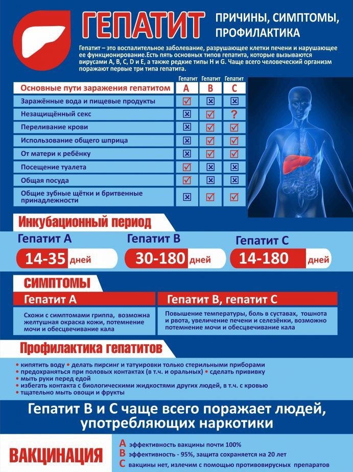 гепатиты 2 691x1024